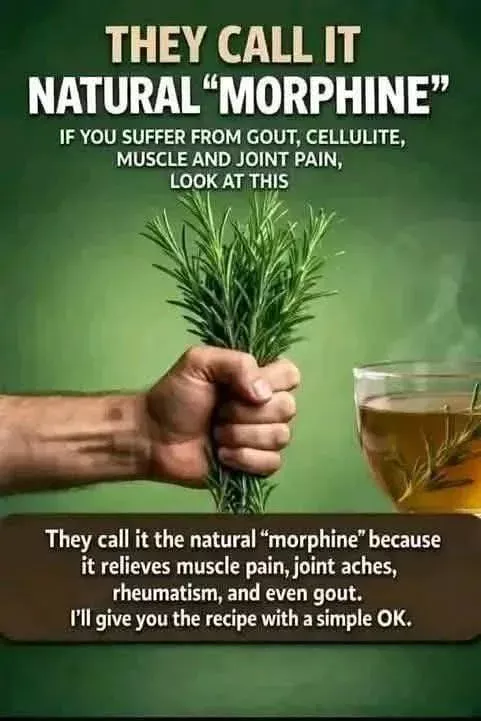 “Rosemary Anti-Inflammatory Herbal Tea”