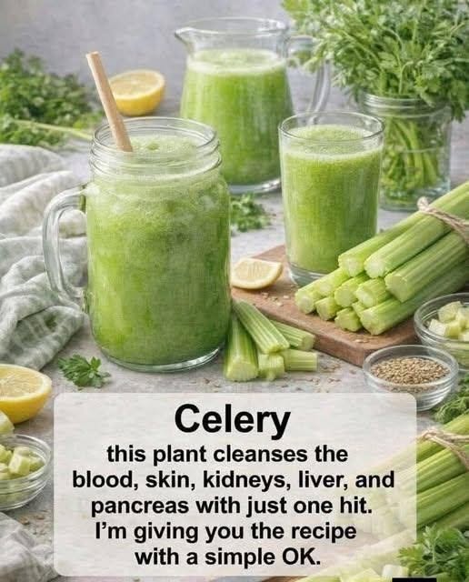 celery detox drink.,,