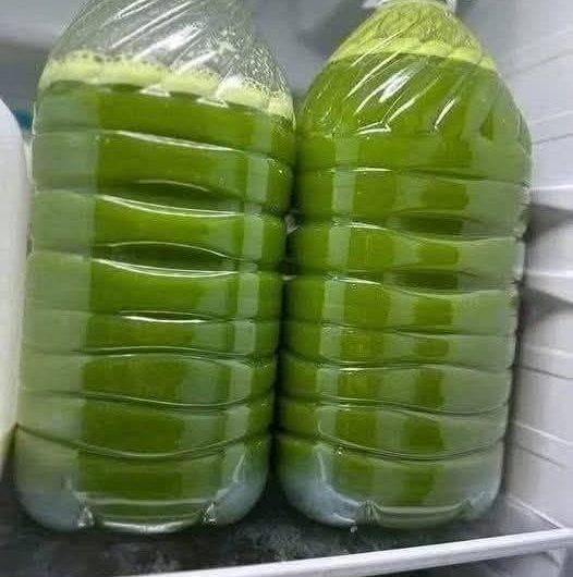 Homemade Fresh Green Juice